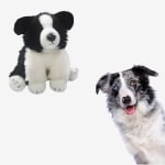 peluche border collie