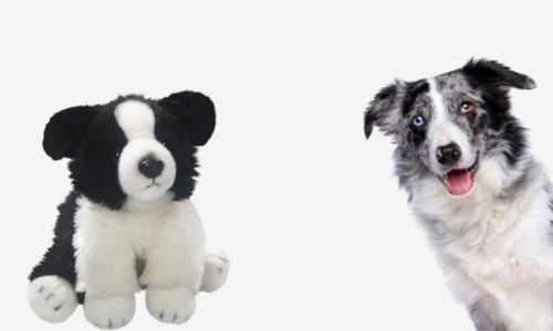 Peluches de Border Collie
