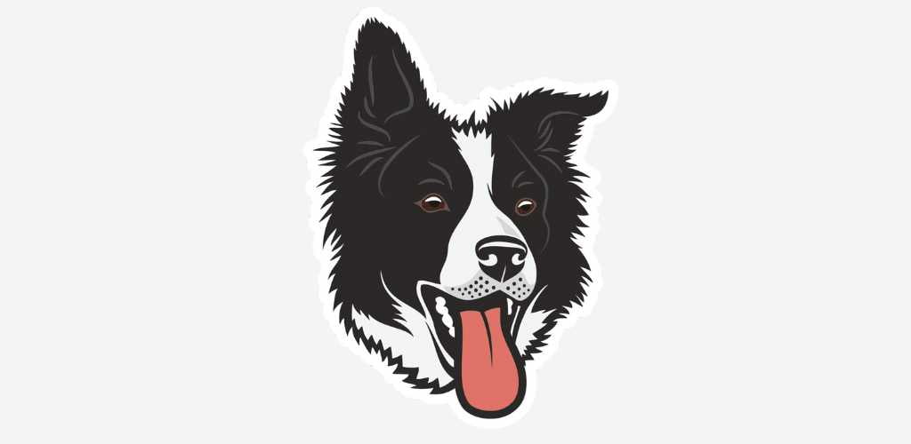 Pegatina Border Collie
